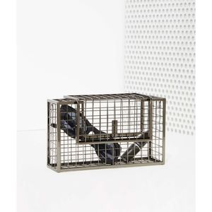 Nila Anthony metal Gridlock cage clutch